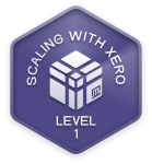 Stackademy Scaling with Xero Certification